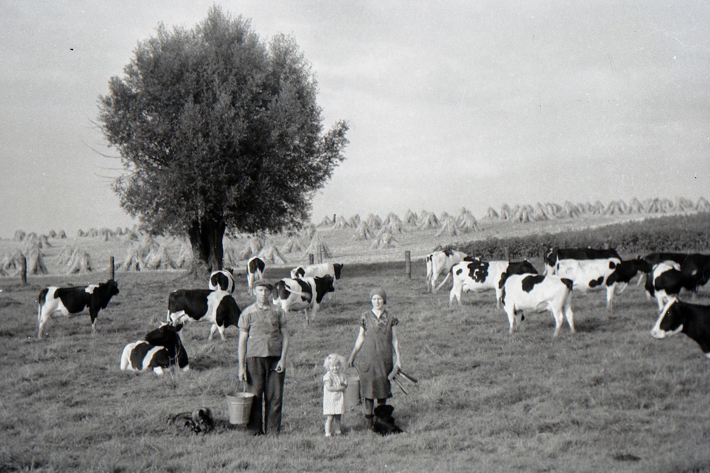 „Schweizer“ auf Gut Althans (Familie Sch.), 1949 (Hasselblatt)