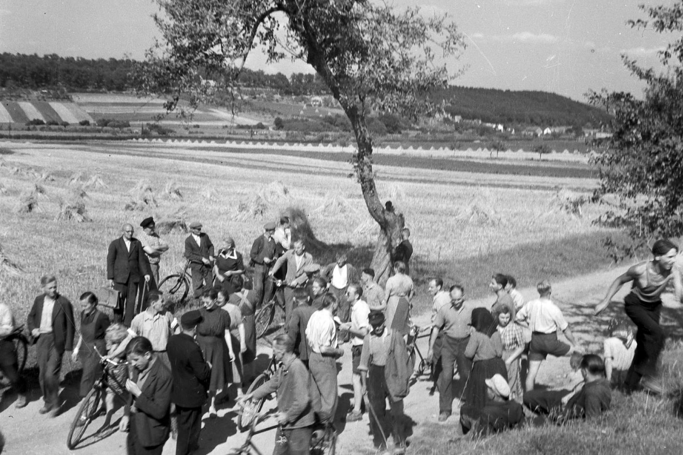 Jährliche Versteigerung der kommunalen Obstbäume, Ochshäuser Weg